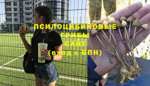 mdpv Вязьма