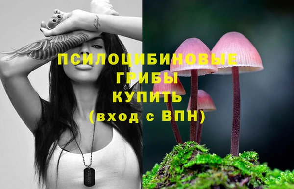 гашиш Вяземский