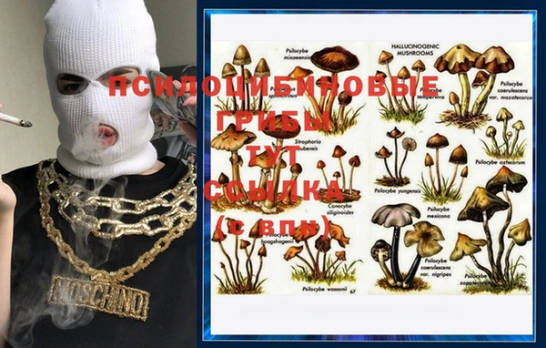 винт Вязники