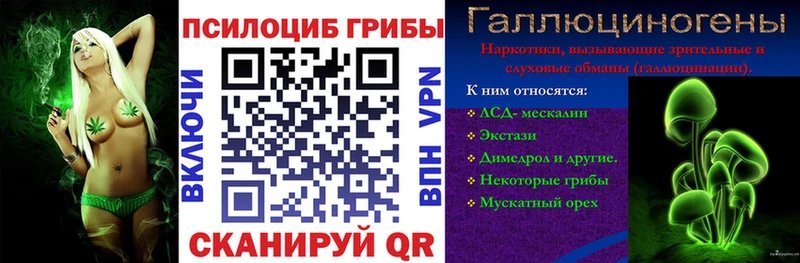 Псилоцибиновые грибы Psilocybe  цены   Красноперекопск 